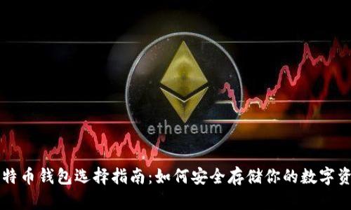 比特币钱包选择指南：如何安全存储你的数字资产