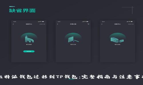 比特派钱包迁移到TP钱包:完整指南与注意事项