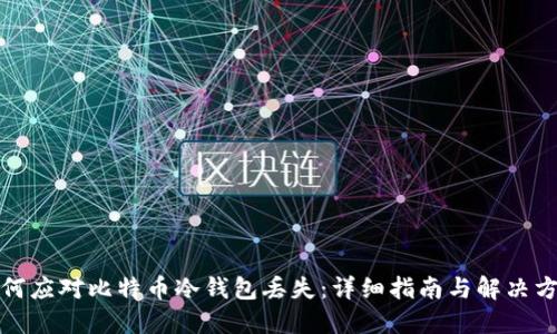 如何应对比特币冷钱包丢失:详细指南与解决方案