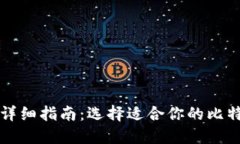 比特币钱包详细指南:选择适合你的比特币钱包