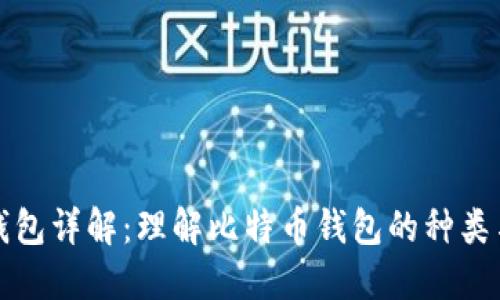 比特币钱包详解:理解比特币钱包的种类与安全性