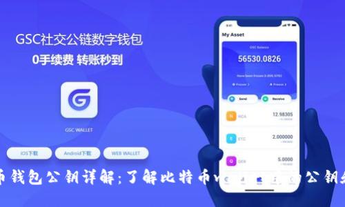 比特币钱包公钥详解：了解比特币wallet中的公钥和私钥