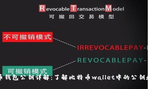 比特币钱包公钥详解：了解比特币wallet中的公钥和私钥