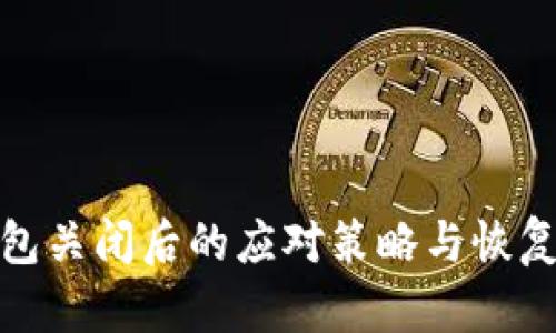 TP钱包关闭后的应对策略与恢复步骤