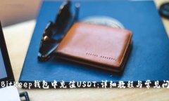 如何在BitKeep钱包中充值USDT：详细教程与常见问题