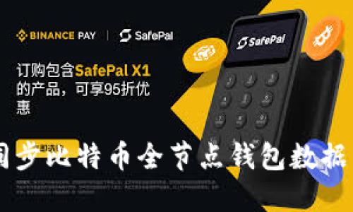  如何高效同步比特币全节点钱包数据：一步步指南