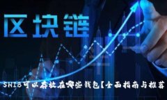 SHIB可以存放在哪些钱包?全面指南与推荐