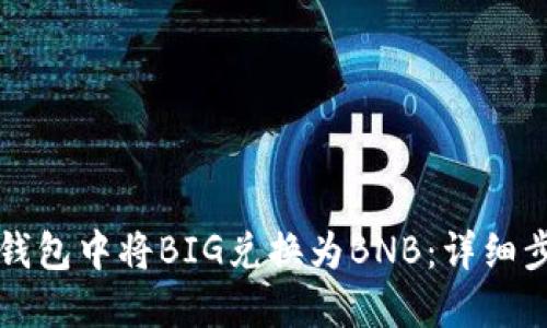 如何在TP钱包中将BIG兑换为BNB:详细步骤和指南