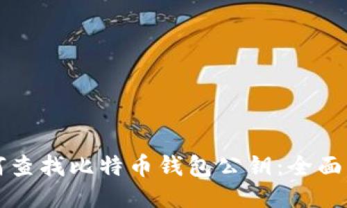 如何查找比特币钱包公钥:全面指南