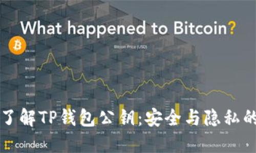 深入了解TP钱包公钥:安全与隐私的保障