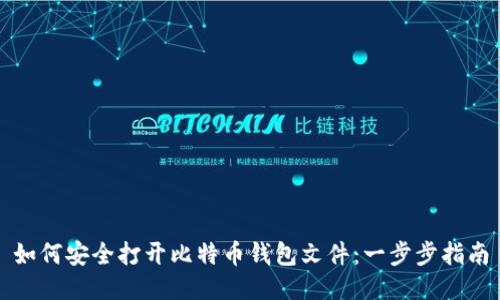 如何安全打开比特币钱包文件:一步步指南