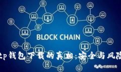 揭秘国内tp钱包下载的真相：安全与风险的双面刃