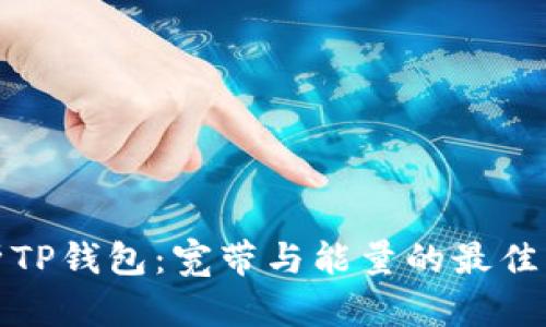 深入剖析TP钱包：宽带与能量的最佳平衡之道