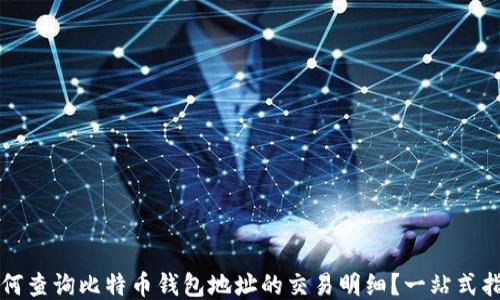 
如何查询比特币钱包地址的交易明细？一站式指南