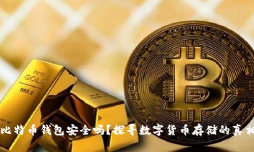 比特币钱包安全吗？探寻数字货币存储的真相