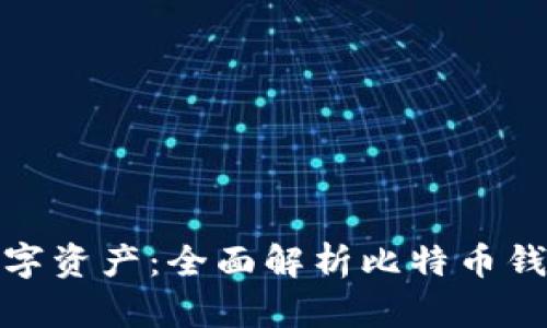 保护你的数字资产：全面解析比特币钱包安全验证