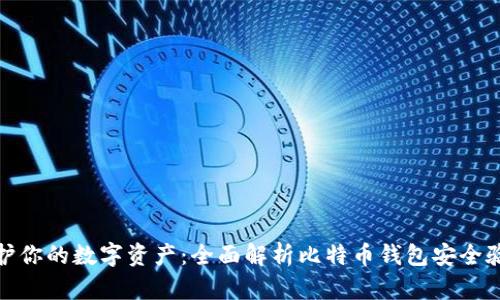 保护你的数字资产：全面解析比特币钱包安全验证