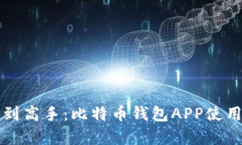 从新手到高手：比特币钱包APP使用全解析