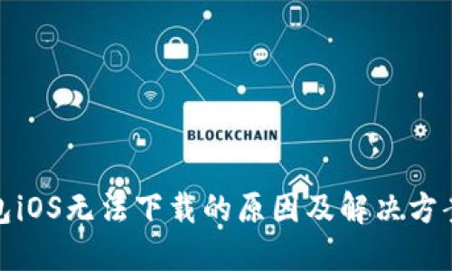 TP钱包iOS无法下载的原因及解决方案揭秘