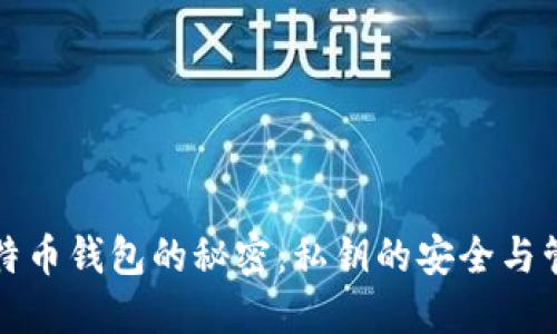 比特币钱包的秘密：私钥的安全与管理