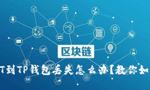 抹茶提USDT到TP钱包丢失怎么办?教你如何快速找回