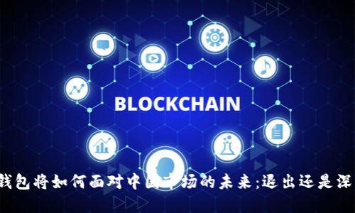TP钱包将如何面对中国市场的未来：退出还是深耕？