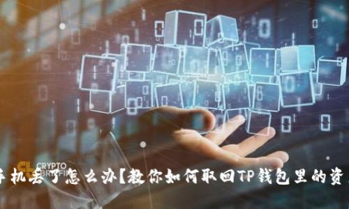 手机丢了怎么办？教你如何取回TP钱包里的资产