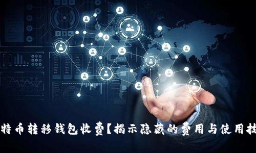 比特币转移钱包收费？揭示隐藏的费用与使用技巧