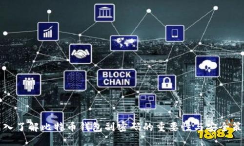 深入了解比特币钱包副密码的重要性与安全策略