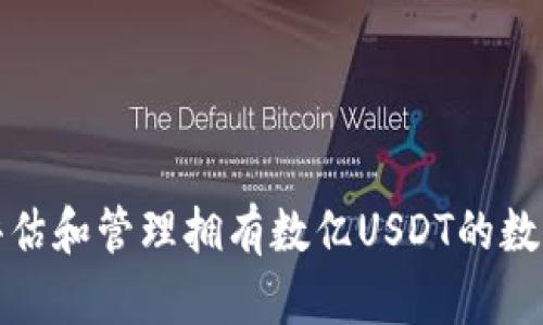 如何评估和管理拥有数亿USDT的数字钱包