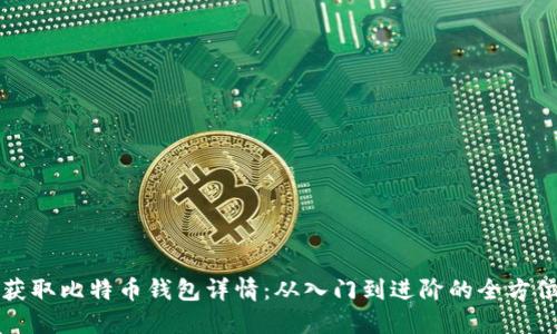 如何获取比特币钱包详情：从入门到进阶的全方位指南
