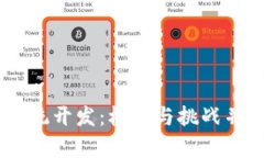 深圳USDT钱包矿机系统开发：机遇与挑战并存的数