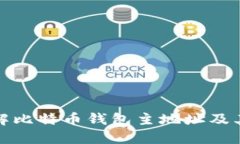 深入了解比特币钱包主地址及其重要性