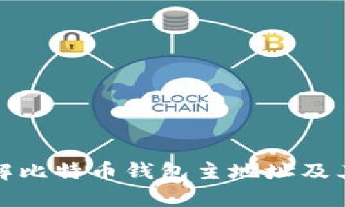深入了解比特币钱包主地址及其重要性