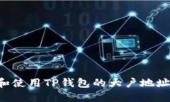 如何查找和使用TP钱包的大户地址：完整指南