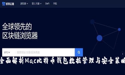 全面解析Mac比特币钱包数据管理与安全策略