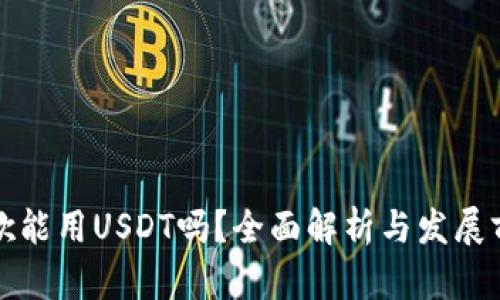 谷歌能用USDT吗？全面解析与发展前景